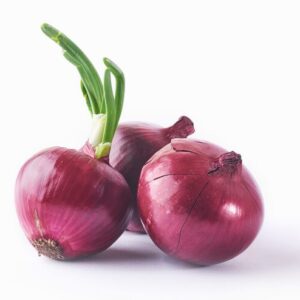 Cebola